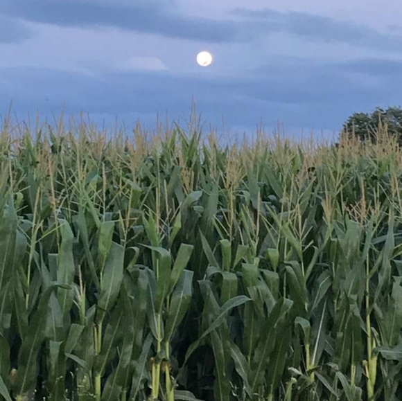 Meet your Posher, Lizanne - Picture 5 of 10